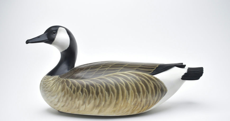 George Strunk – Canada Goose – 2025