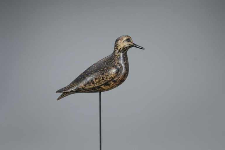 Charles Sumner Bunn – Golden Plover – 2020