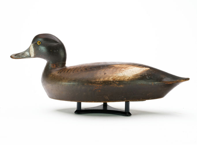 Chauncey Wheeler – Scaup – 2025