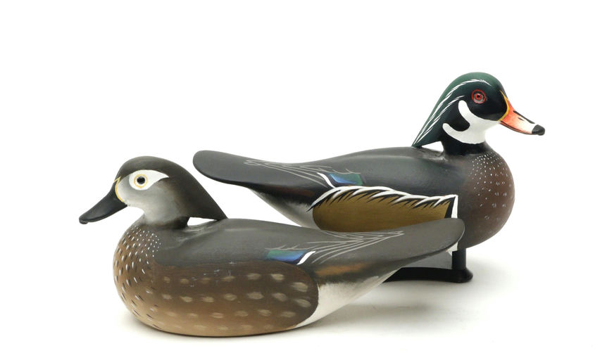 Charlie Joiner – Pair of Wood Ducks – 2025