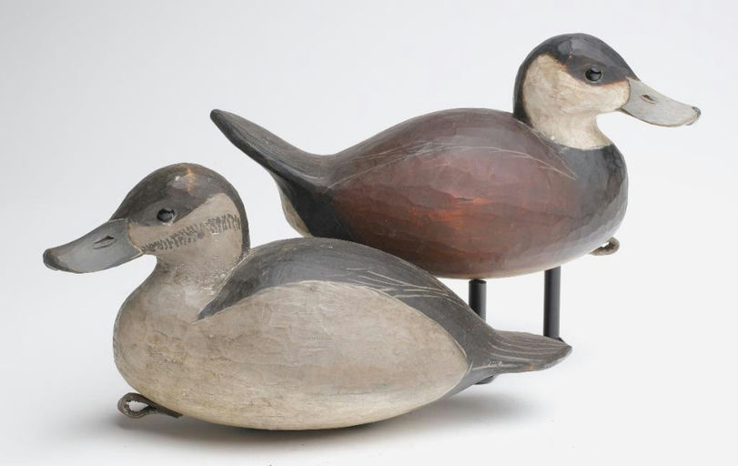 Reggie Birch – Ruddy duck – 2023