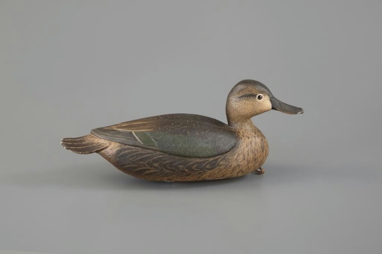 Bob White – White-Rig Green-Winged Teal – 2025