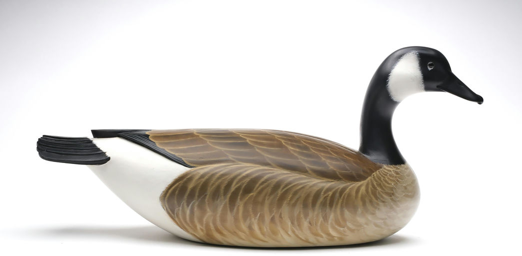 George Strunk – Canada Goose – 2025