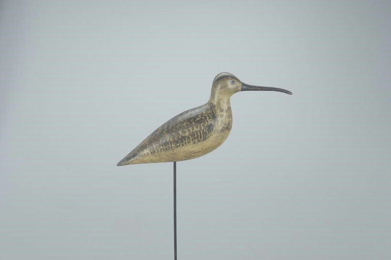 Harry V. Shourds – The Purnell-O'Brien Shourds "Green Rig" Curlew – 2022