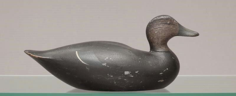 Joseph Lincoln – Black Duck – 2011