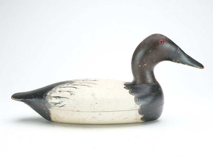 Bert Graves – Canvasback – 2023