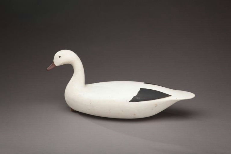 James P. Hand – Snow Goose – 2012