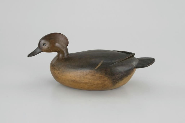 Mark McNair – Hillman Hooded Merganser Hen – 2026