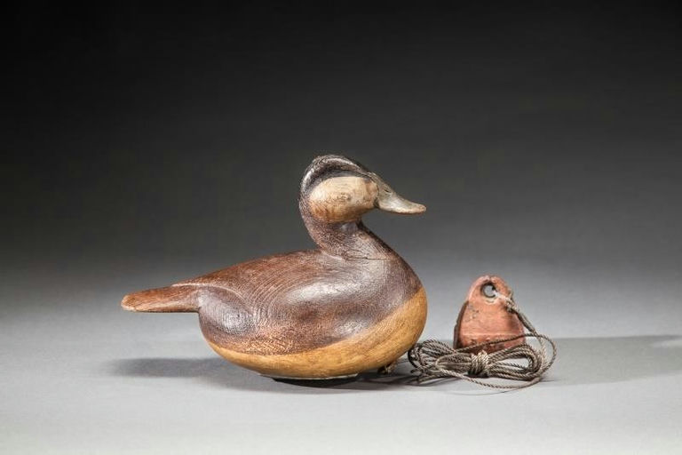 Mark McNair – Ruddy Duck – 2016