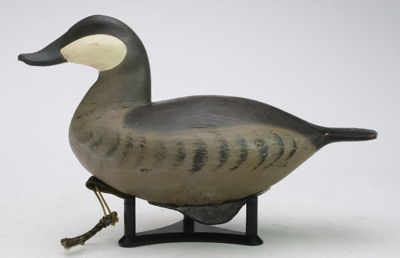 Pete Peterson – Ruddy Duck – 2024