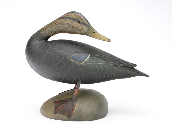 Marty Collins – Black Duck – 2024
