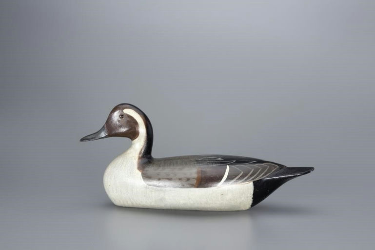 Charles Perdew – Pintail Drake – 2017