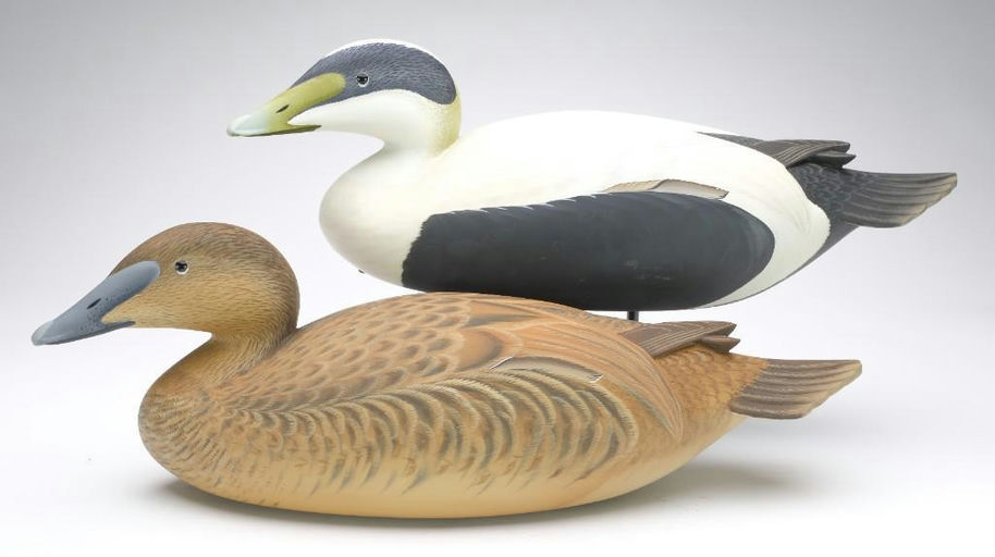 George Strunk – Pair of Eider – 2023