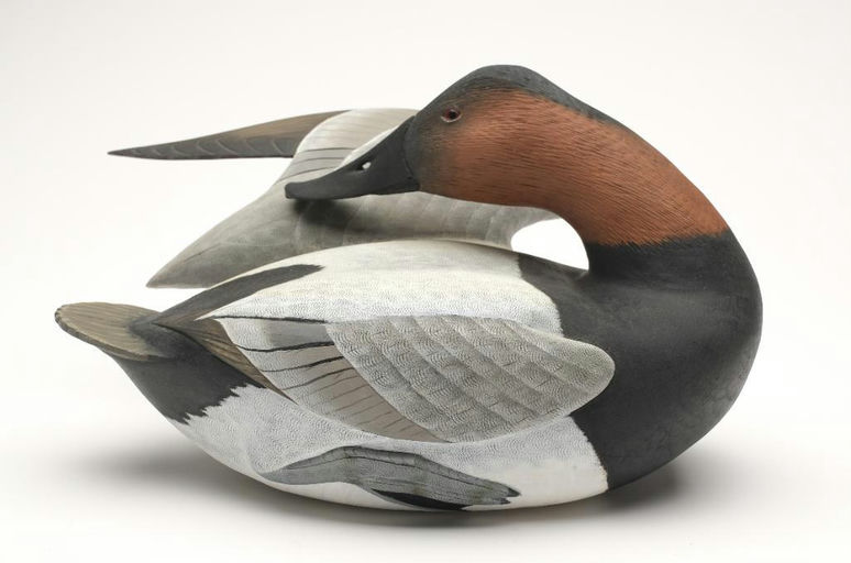 Corb Reed – Canvasback – 2023