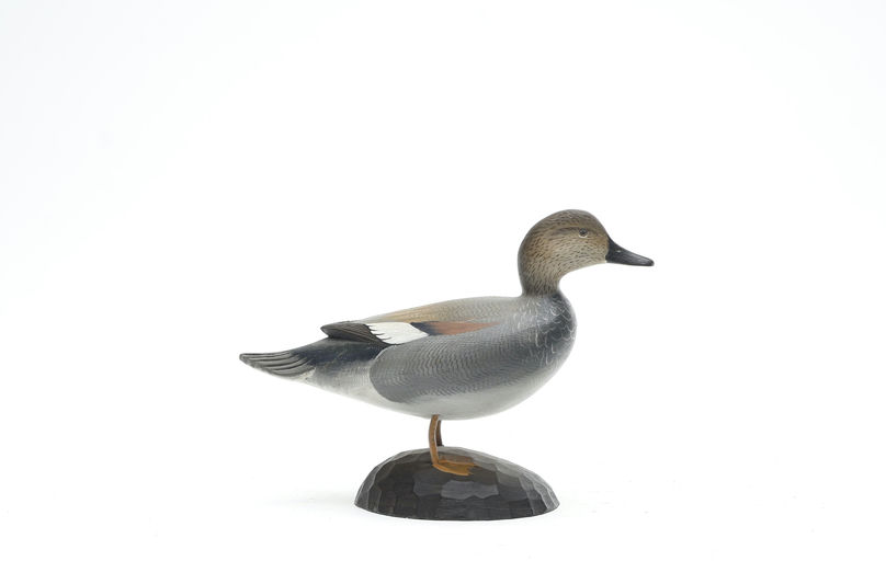 George Strunk – Miniature Gadwall – 2026