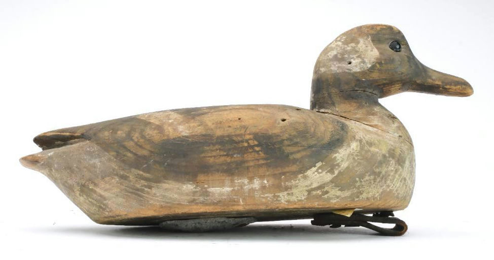 Frank Finney – Bufflehead in the Cobb Island fashion – 2024