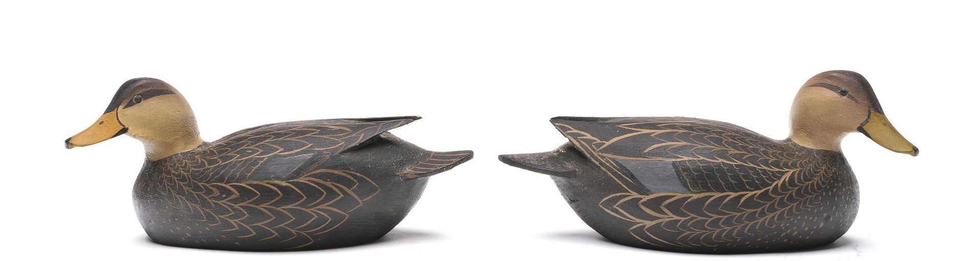 Ward Brothers – Pair of black ducks – 2026