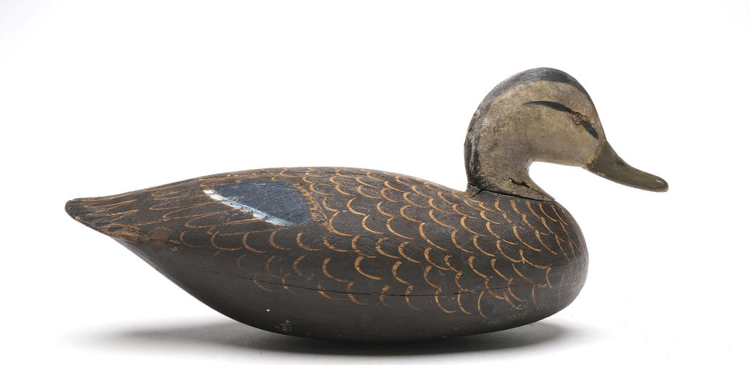 Ira Hudson – Black Duck – 2026