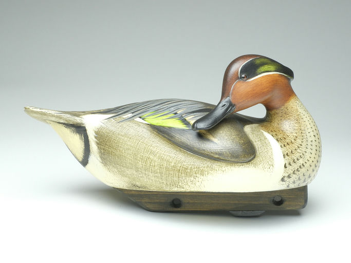 Jim Schmiedlin – Preening Green-winged Teal Drake – 2023