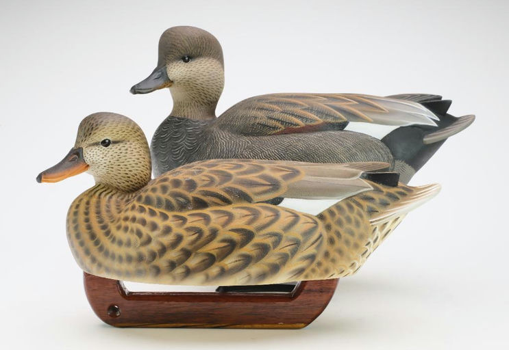 Tom Matus – Pair of Gadwall – 2024