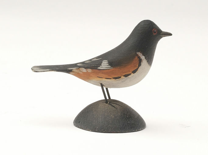 Elmer Crowell – Towhee – 2023