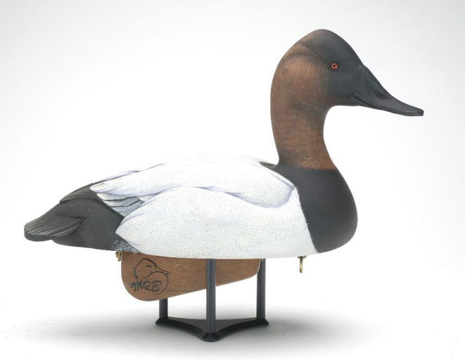 Michael Braun — Canvasback
