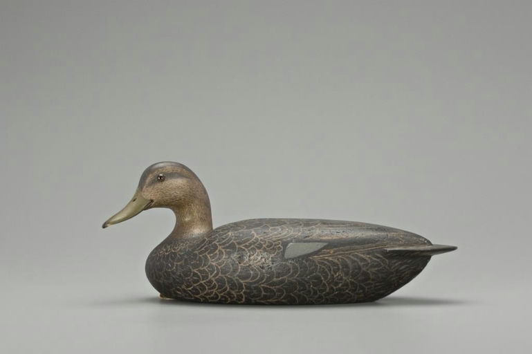 Louis Rathmell – High-Head Black Duck Hen – 2018