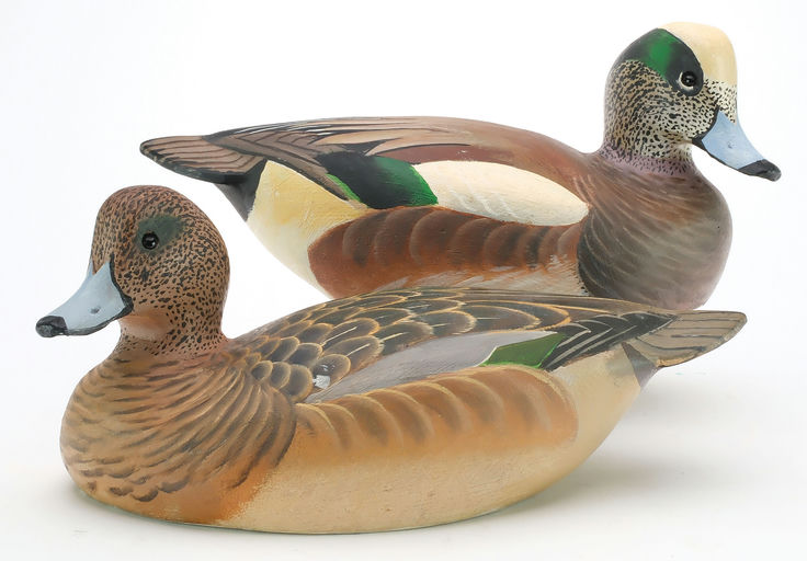 Ward Brothers – Pair of widgeons – 2024