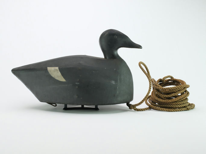 Joseph Lincoln – Scoter – 2024