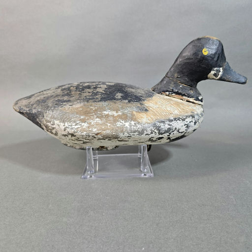 James Robinson Larrimore – Scaup – 2026