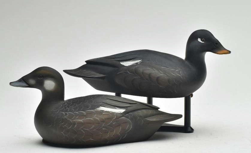 Sean Sutton – Pair of Miniature Scoter – 2023