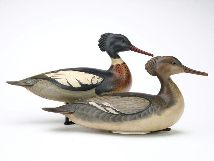 Bill Gibian – Pair of Red-breasted Merganser – 2024