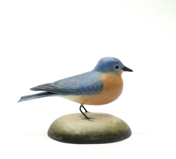 Frank Finney – Eastern Bluebird With Raised Wingtips – 2025