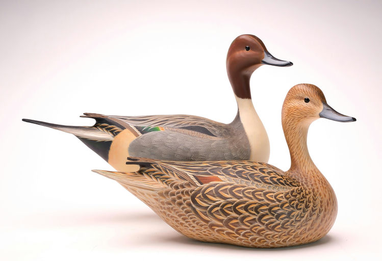 Ben A. Heinemann – Pintail – 2024