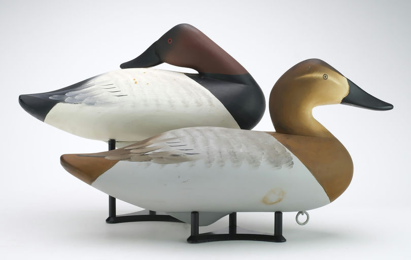 Charlie Joiner – Pair of Canvasbacks – 2024