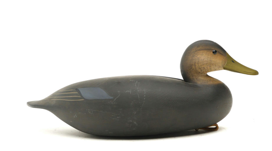 George Strunk – Black Duck – 2026