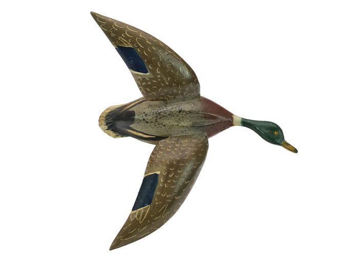 Ira Hudson – Flying Mallard – 2024