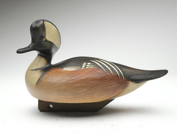 Jim Schmiedlin – Hooded Merganser – 2023