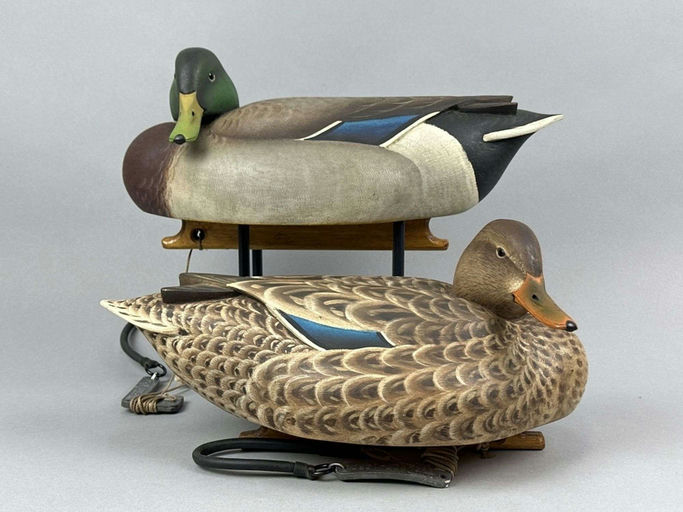 Marty Hanson – Mallard – 2026