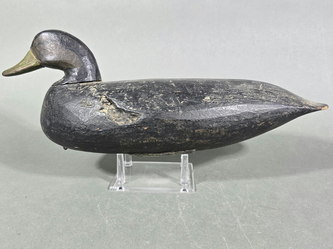 Doug Jester – Black Duck – 2026