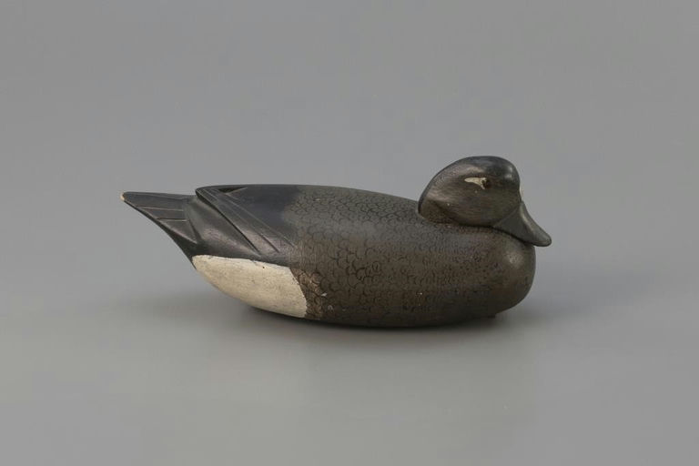 Henry Updyke – Rare Tucked-head Gadwall – 2025