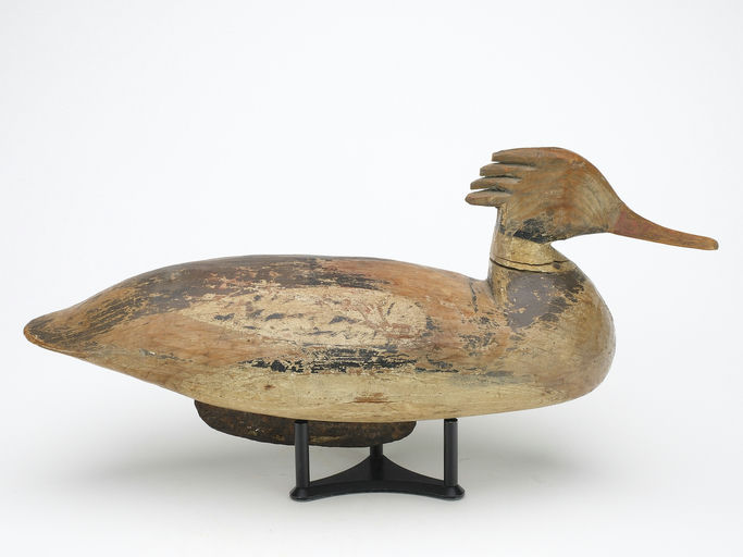 Doug Jester – Merganser – 2024