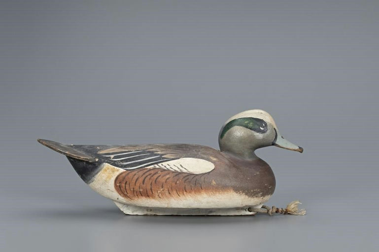 Ward Brothers – Wigeon Drake – 2019