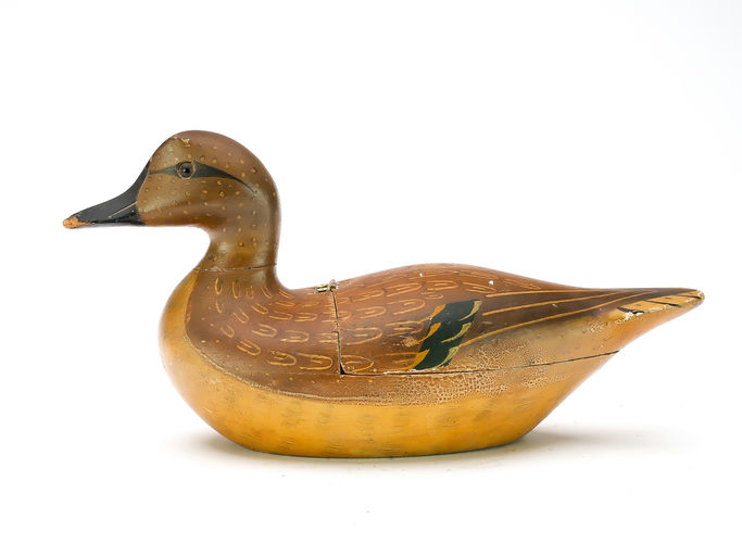 Charles Bergman – Green-winged Teal – 2025
