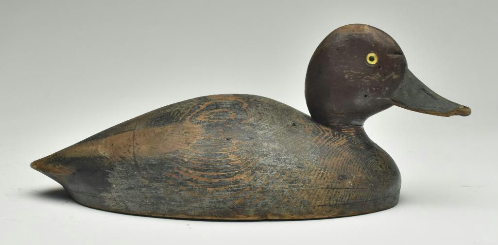 John R. Wells – Redhead Hen – 2023