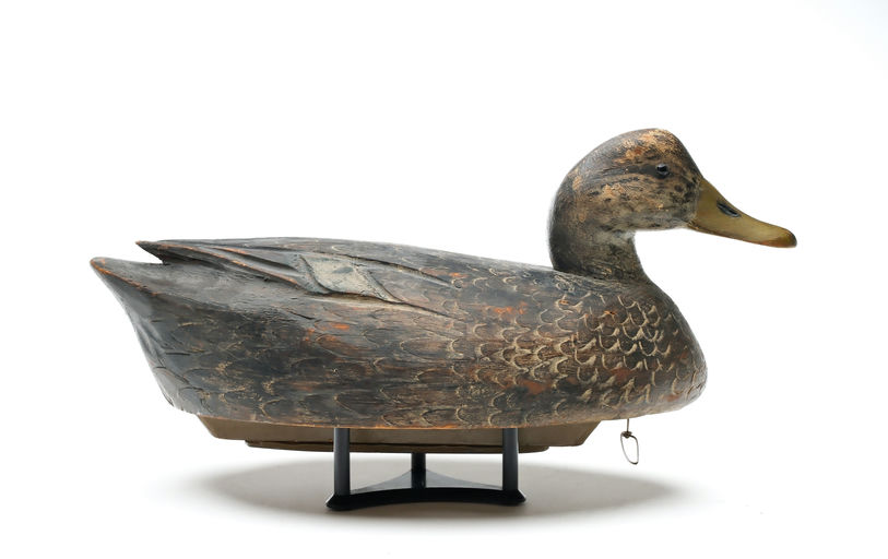 Ben Schmidt – Black Duck – 2025