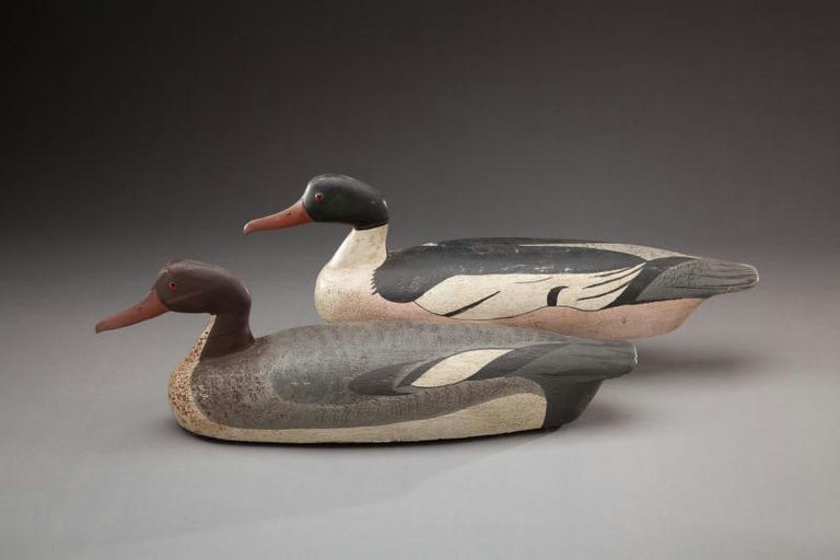 Otto Saidler – American Merganser Pair – 2012