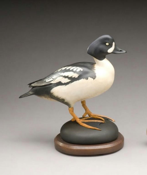 Bill Gibian – Barrow's Goldeneye – 2009