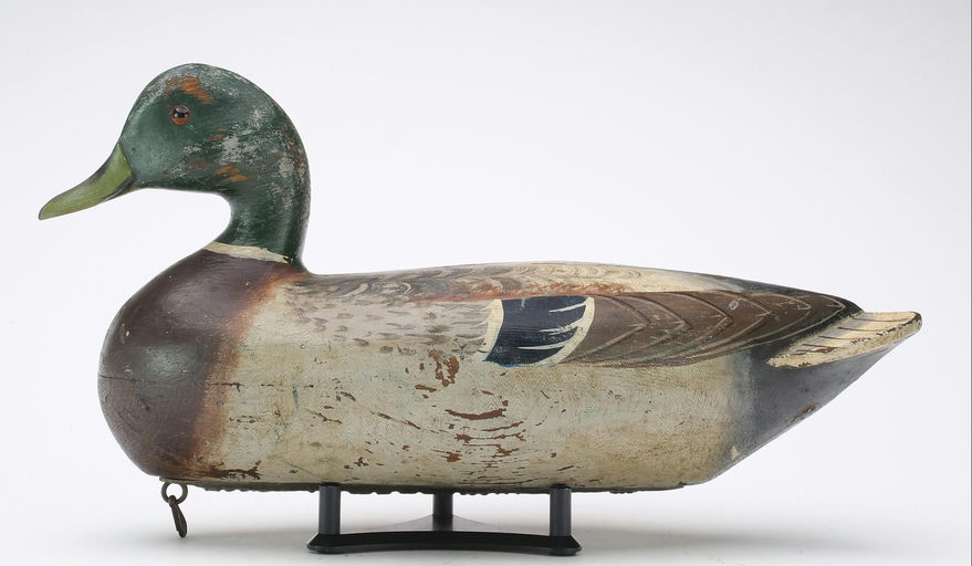 Charles Perdew – Mallard Drake – 2024