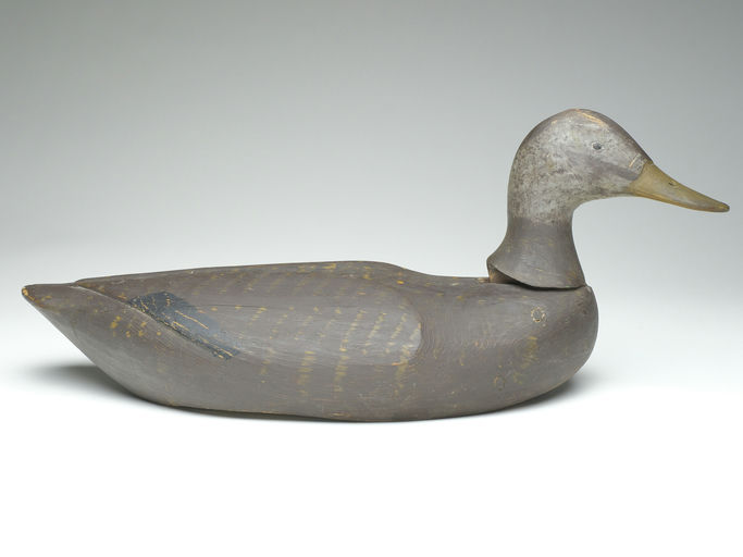 Gus Wilson – Black Duck – 2023
